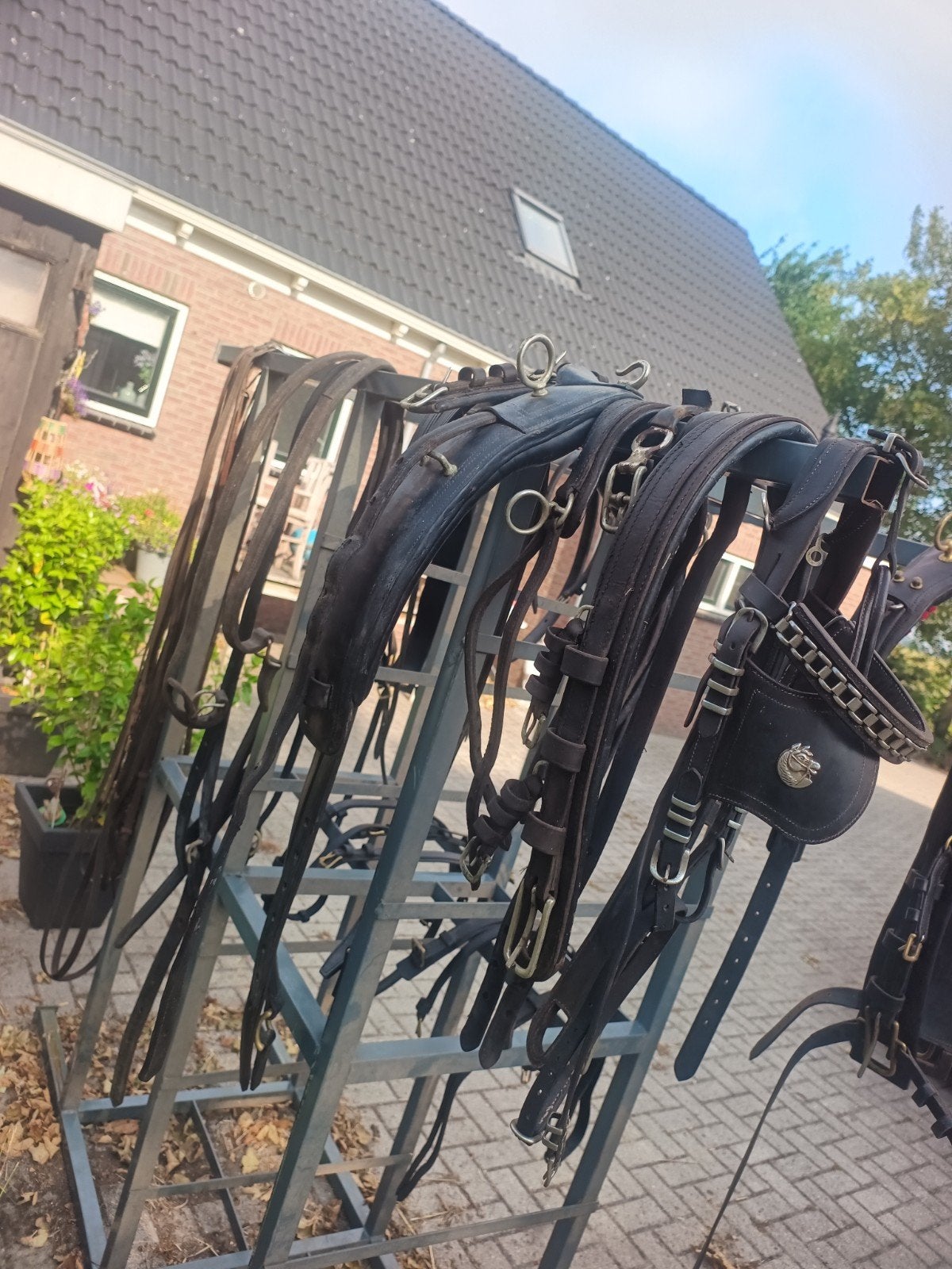 tuig enkel en dubbelspan, Ophalen, Gebruikt, Overige disciplines, Mentuig