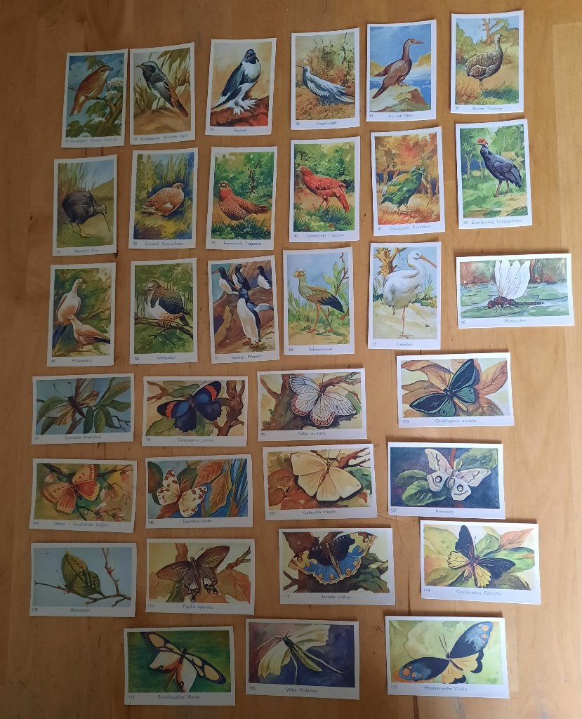 VOGEL - EN VLINDER PLAATJES - F. DE VRIES, Verzamelen, Ophalen of Verzenden