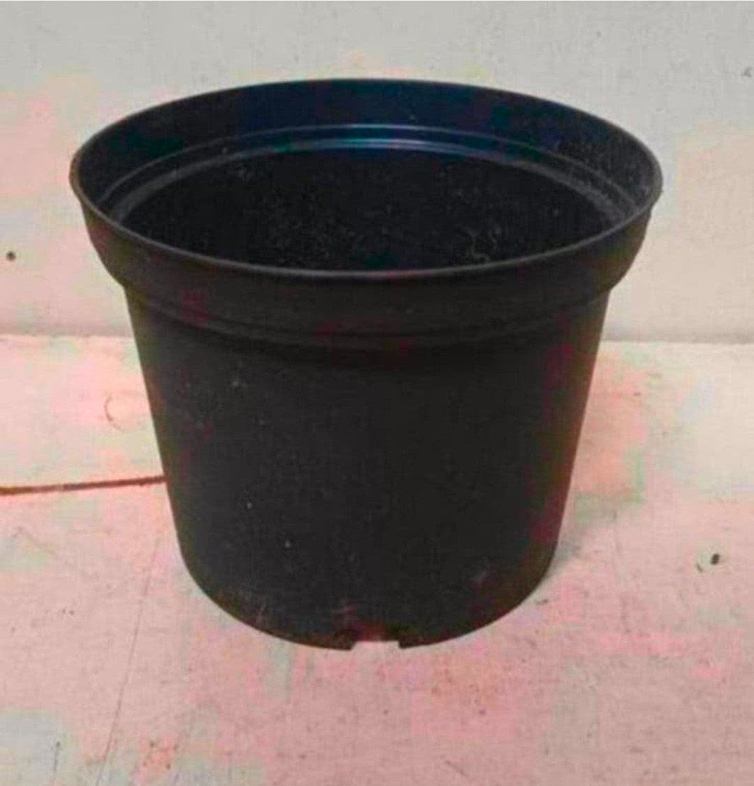 kweekpotten plantenpotten bloempotten 2 liter, Kunststof, Gebruikt, Rond, Ophalen of Verzenden