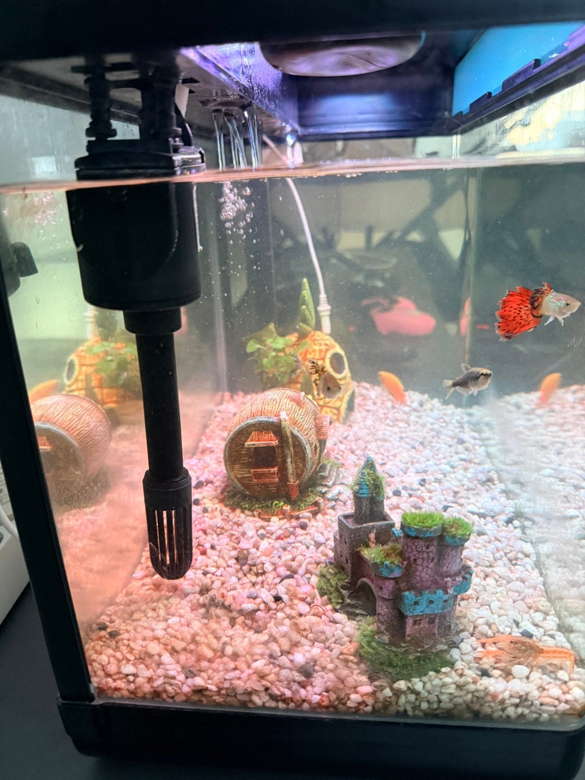 AquaImpact zelfreinigend Aquarium 26L, Ophalen, Overige typen, Pomp, Overige merken