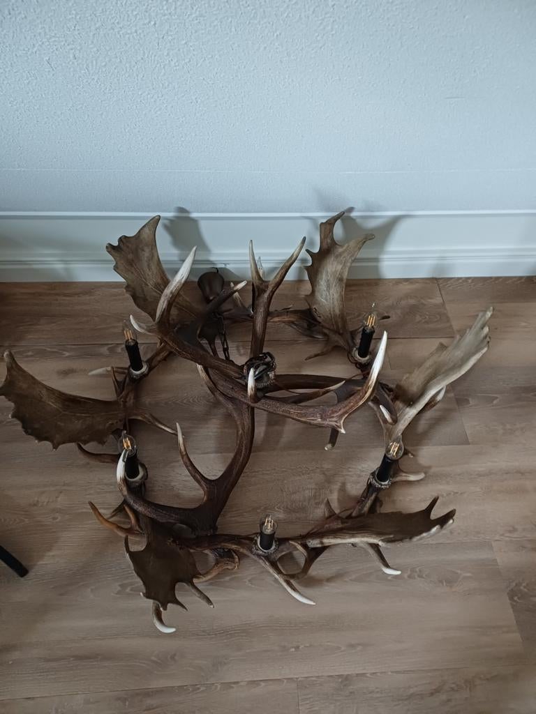 Gewei lamp, Huis en Inrichting, Lampen | Kroonluchters, Ophalen