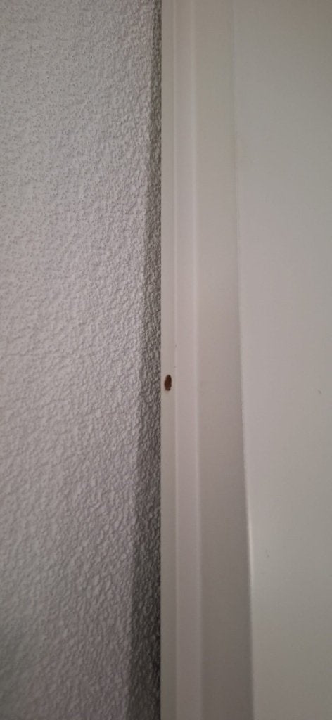 Opdekdeur 88 x 211,5cm, Doe-het-zelf en Verbouw, Ophalen, 80 tot 100 cm, Binnendeur, Zo goed als nieuw