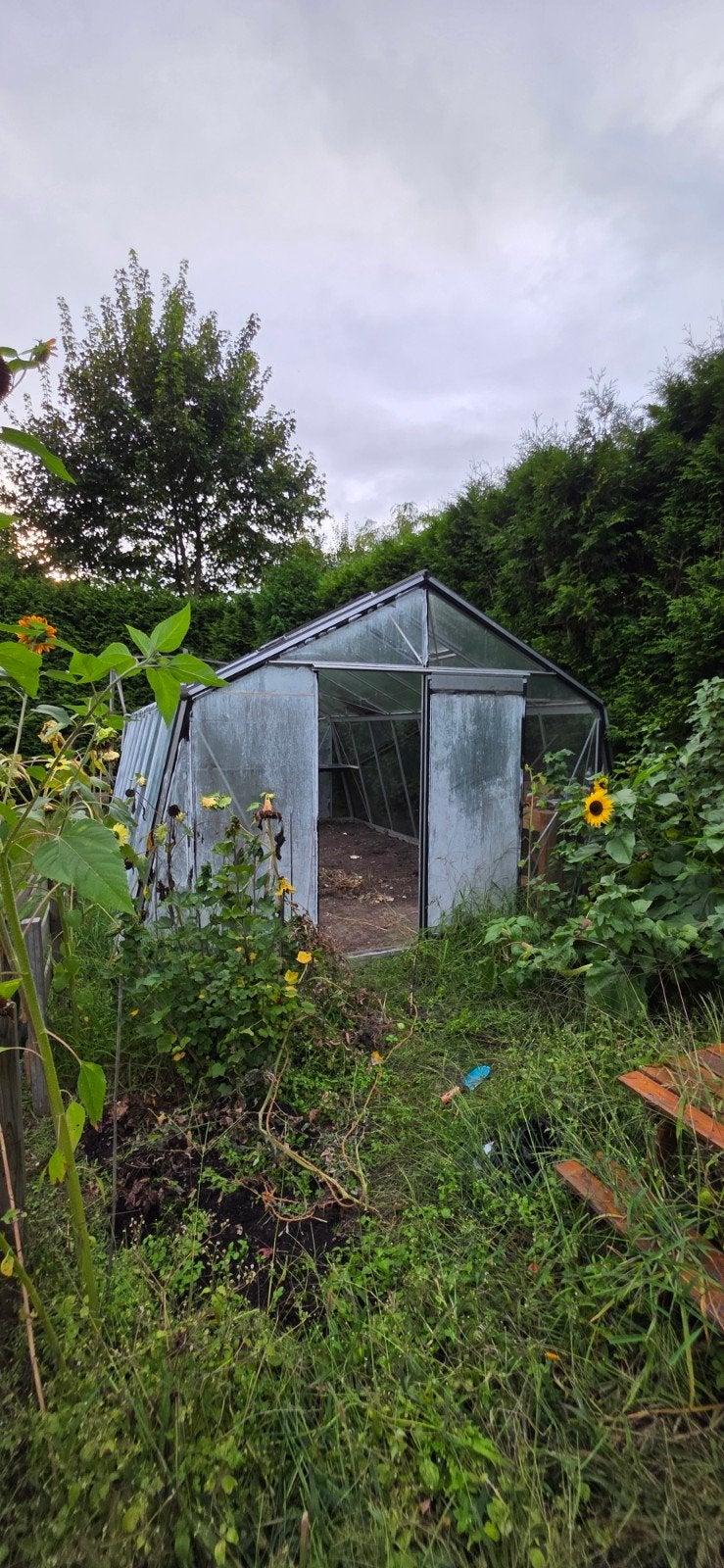 te koop 2 kweekkassen 1500 per stuk, Tuin en Terras, Kassen, Ophalen, Glas, Aluminium