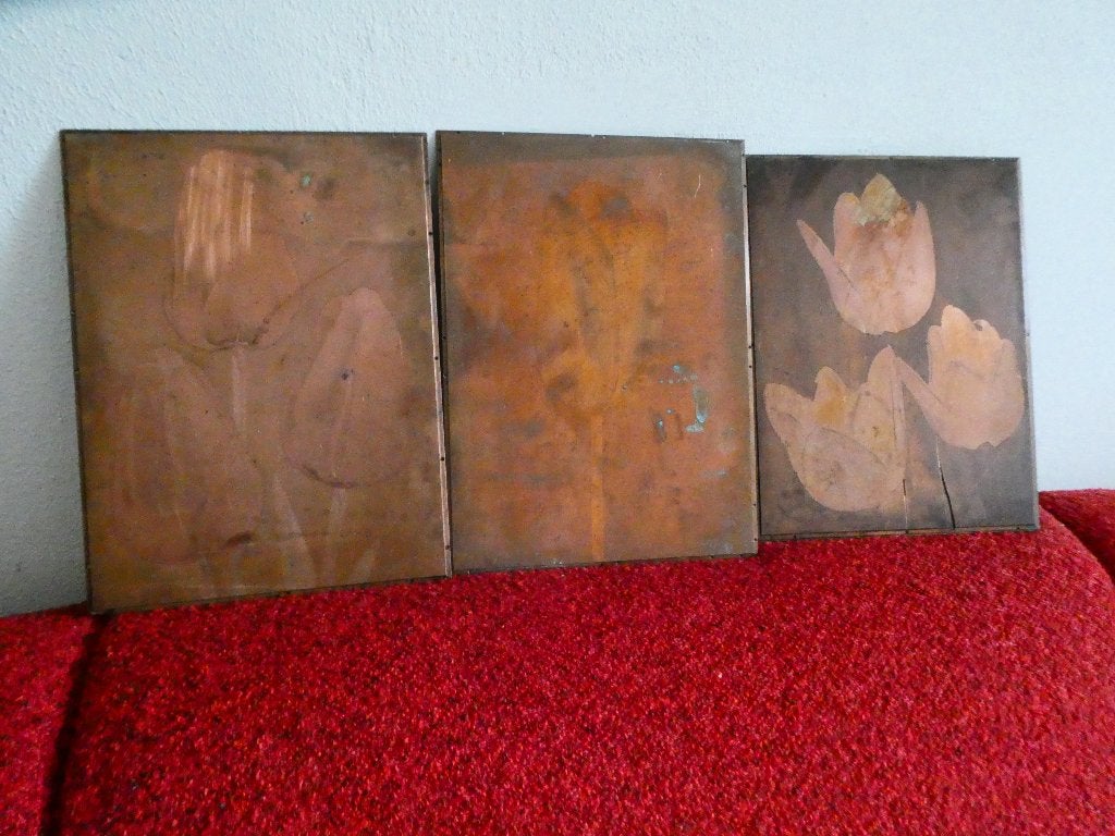 3X Koperen Tulp plaat (2.1 KG), Antiek en Kunst, Kunst | Etsen en Gravures, Ophalen of Verzenden, Flora en Fauna, Gravure