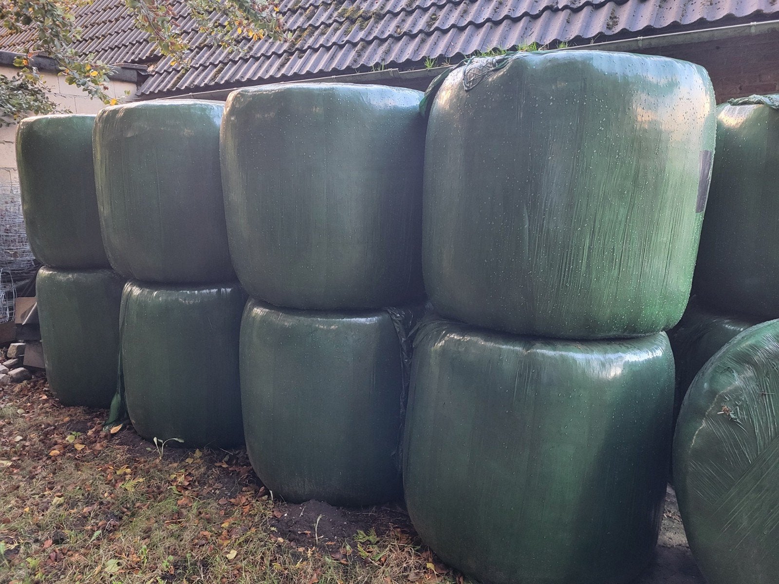 20 Midi balen mooi hooi te koop, Ophalen, Vee