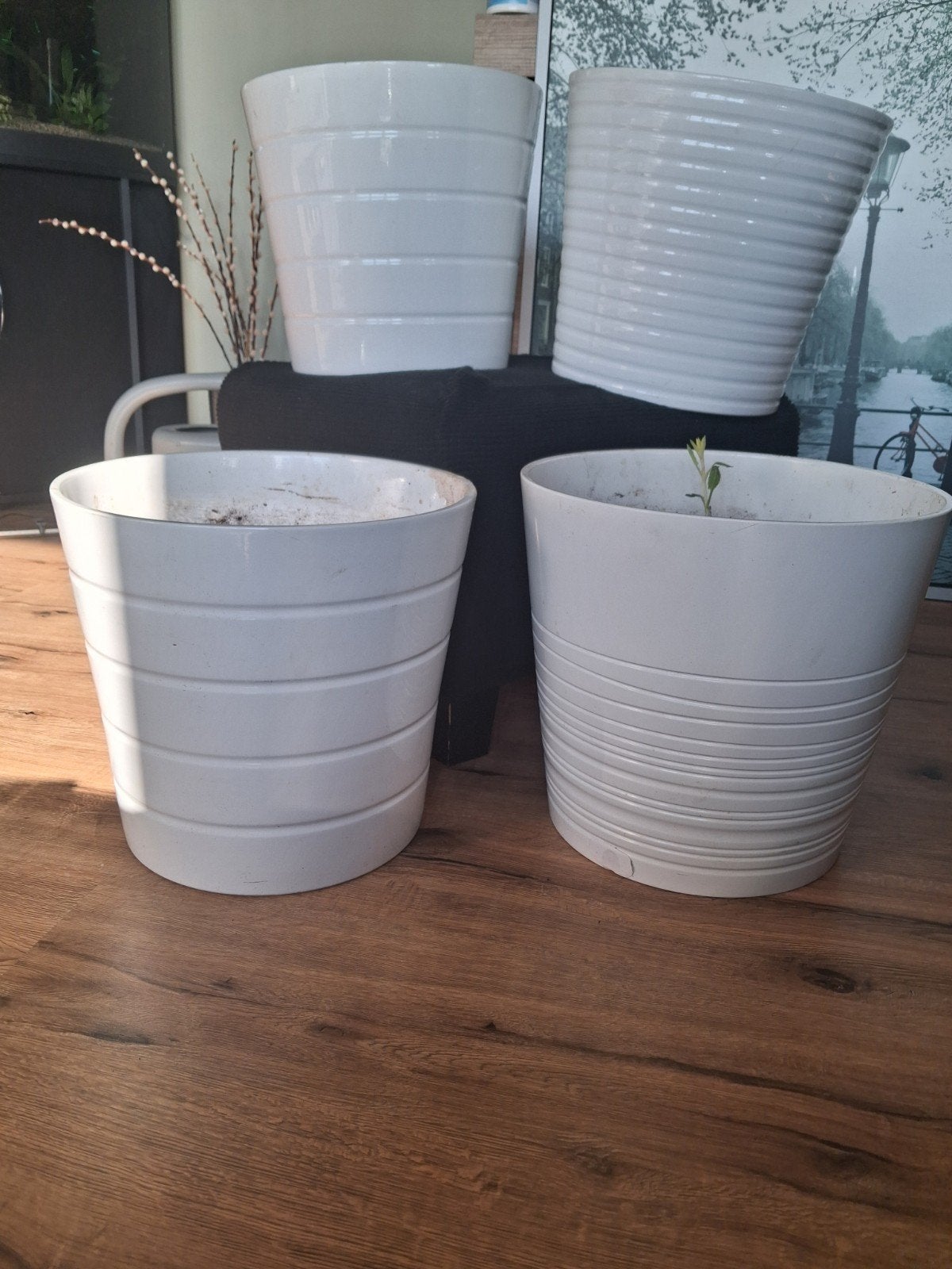 Grote Bloempotten Wit, Ophalen, Gebruikt, Rond, Binnen
