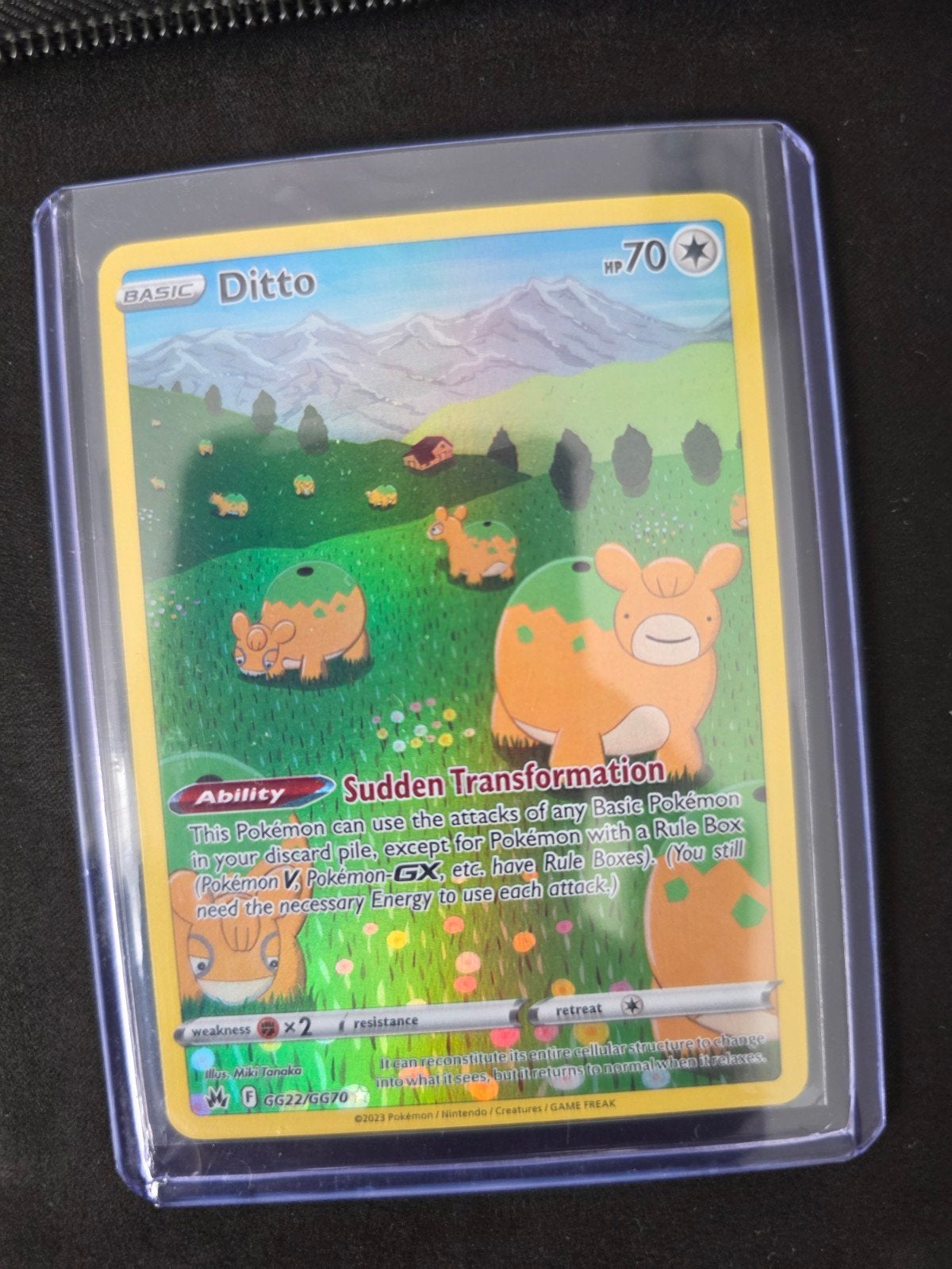 Ditto GG22, Ophalen of Verzenden, Nieuw
