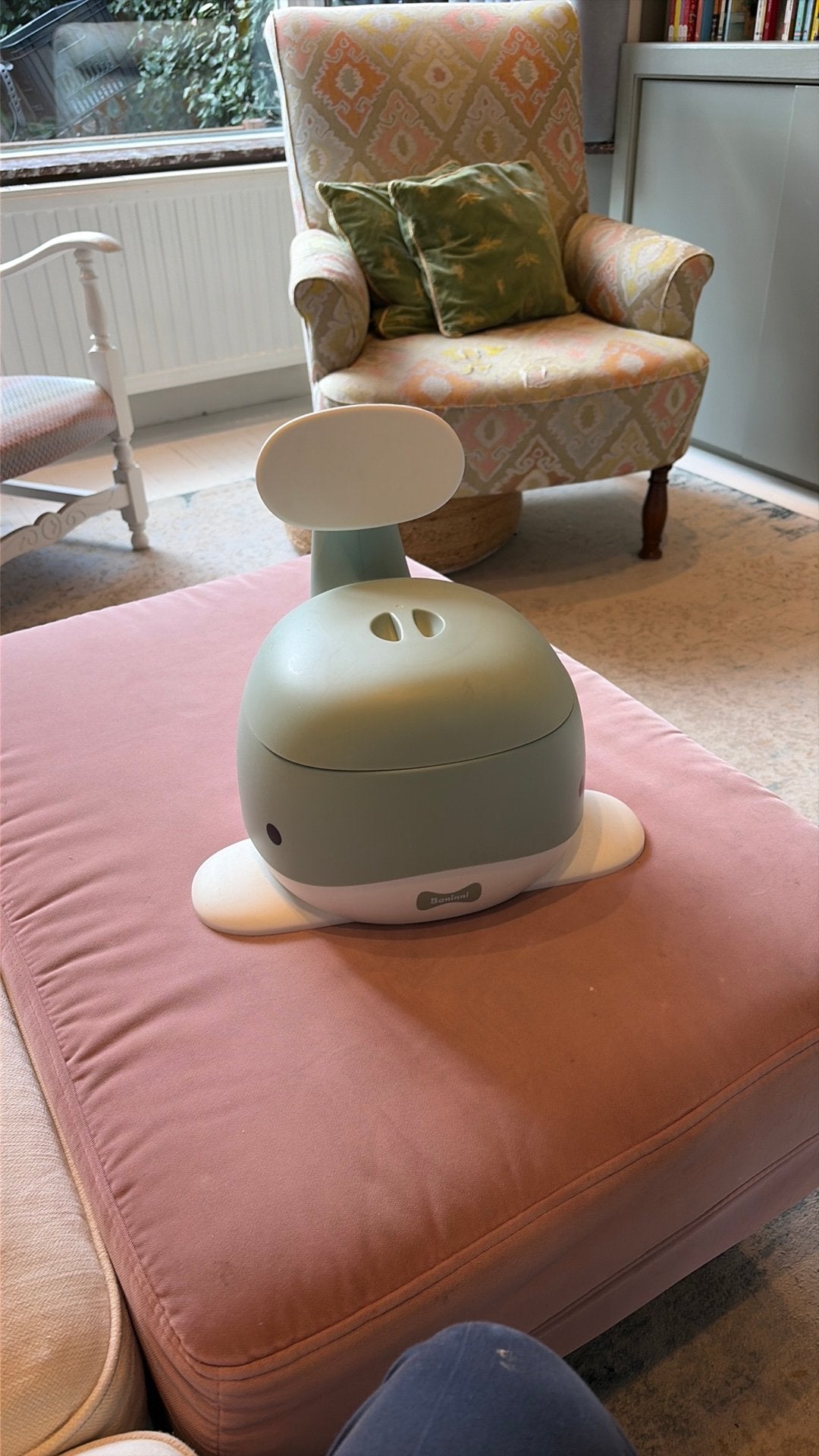 Baninni plaspotje potty whale grijs - ergonomisch, Ophalen, Zo goed als nieuw, Overige typen