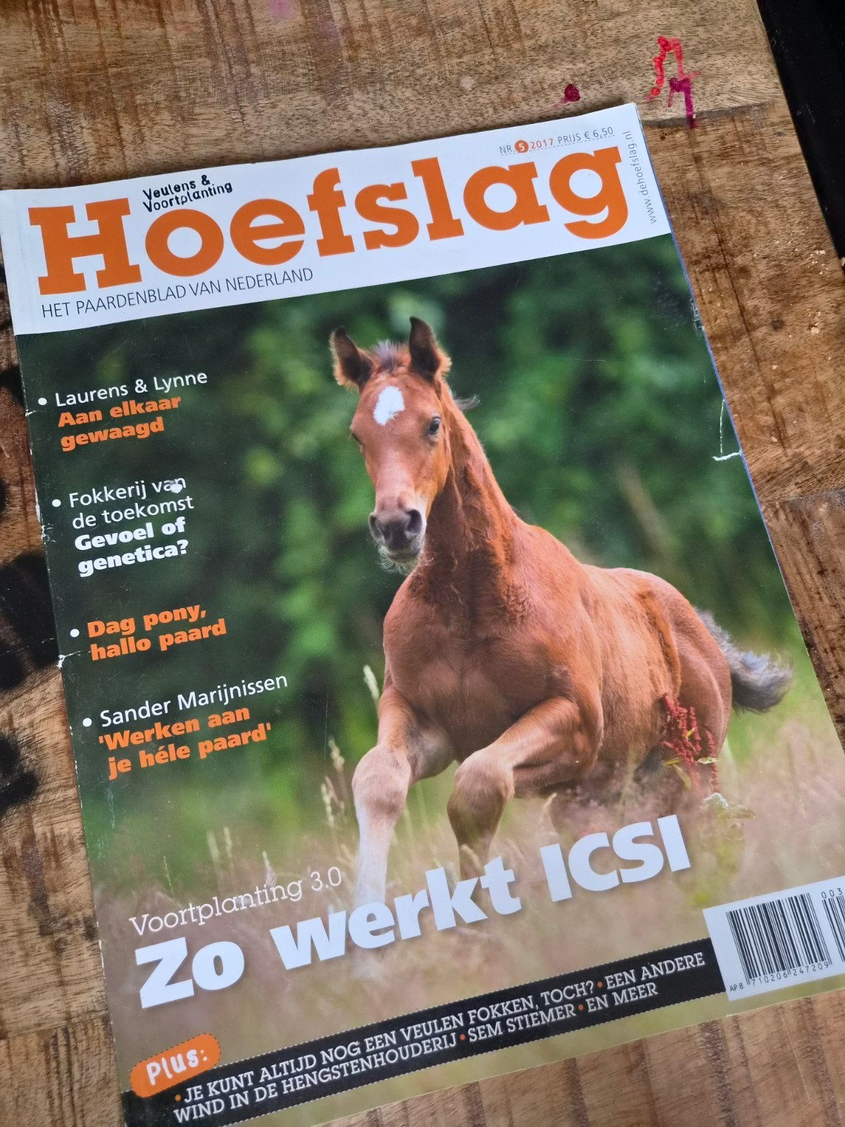 Hoefslag Magazine - Het Paardenblad van Nederland, Ophalen of Verzenden, Gelezen, Overige typen