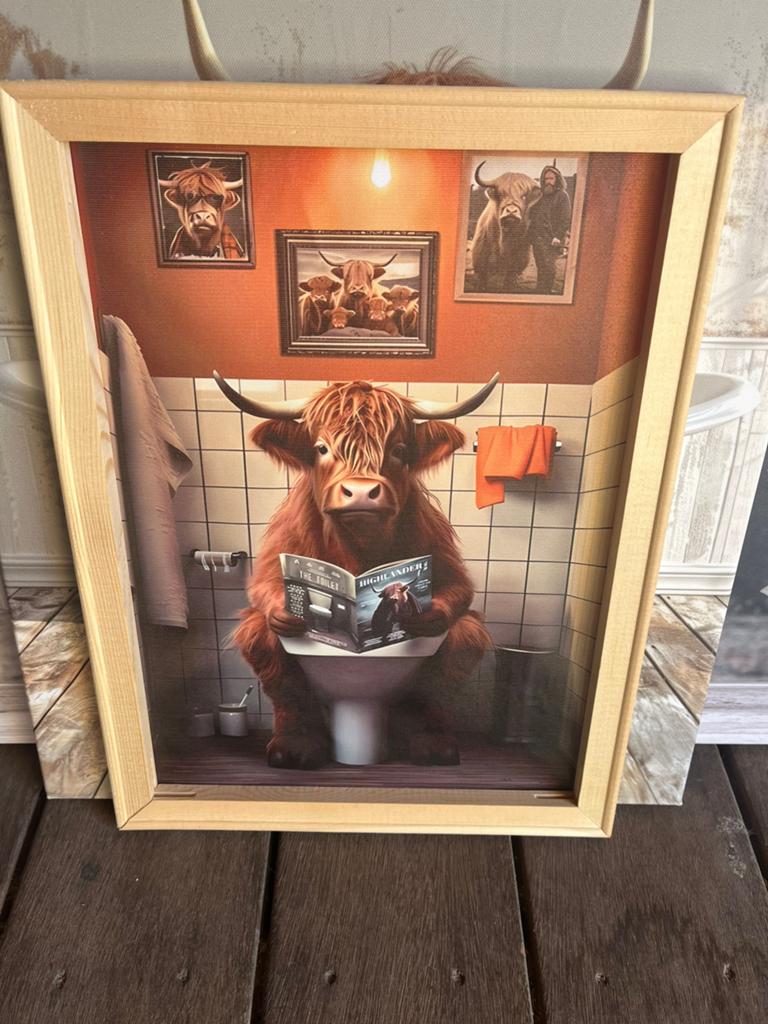 Div. Schotsehooglanders voor aan de muur, Ophalen, Overige materialen, 50 tot 75 cm, Zo goed als nieuw