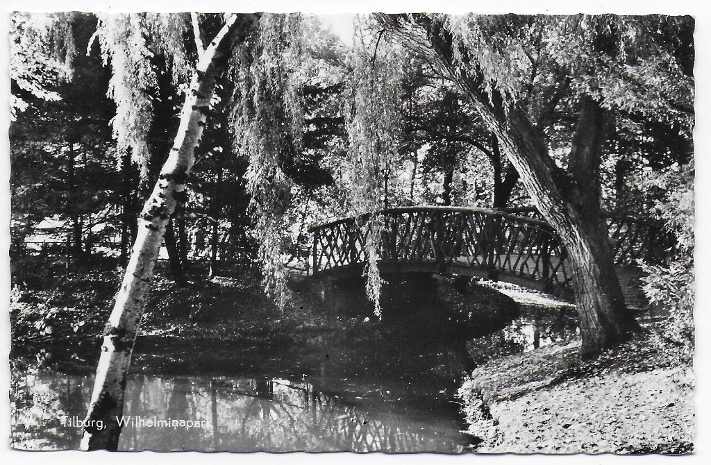 Tilburg Wilhelminapark Oude Ongelopen Ansichtkaart (B8301), Ophalen of Verzenden, 1960 tot 1980, Ongelopen, Noord-Brabant
