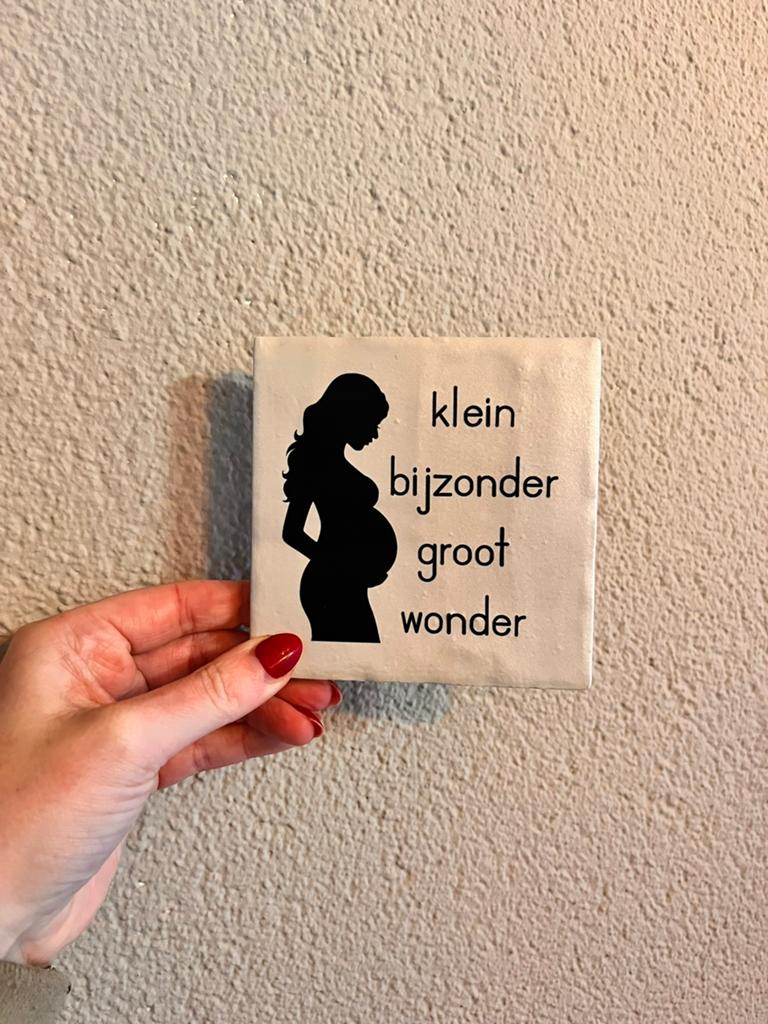 Tegeltje met tekst zwanger, Ophalen of Verzenden, Nieuw