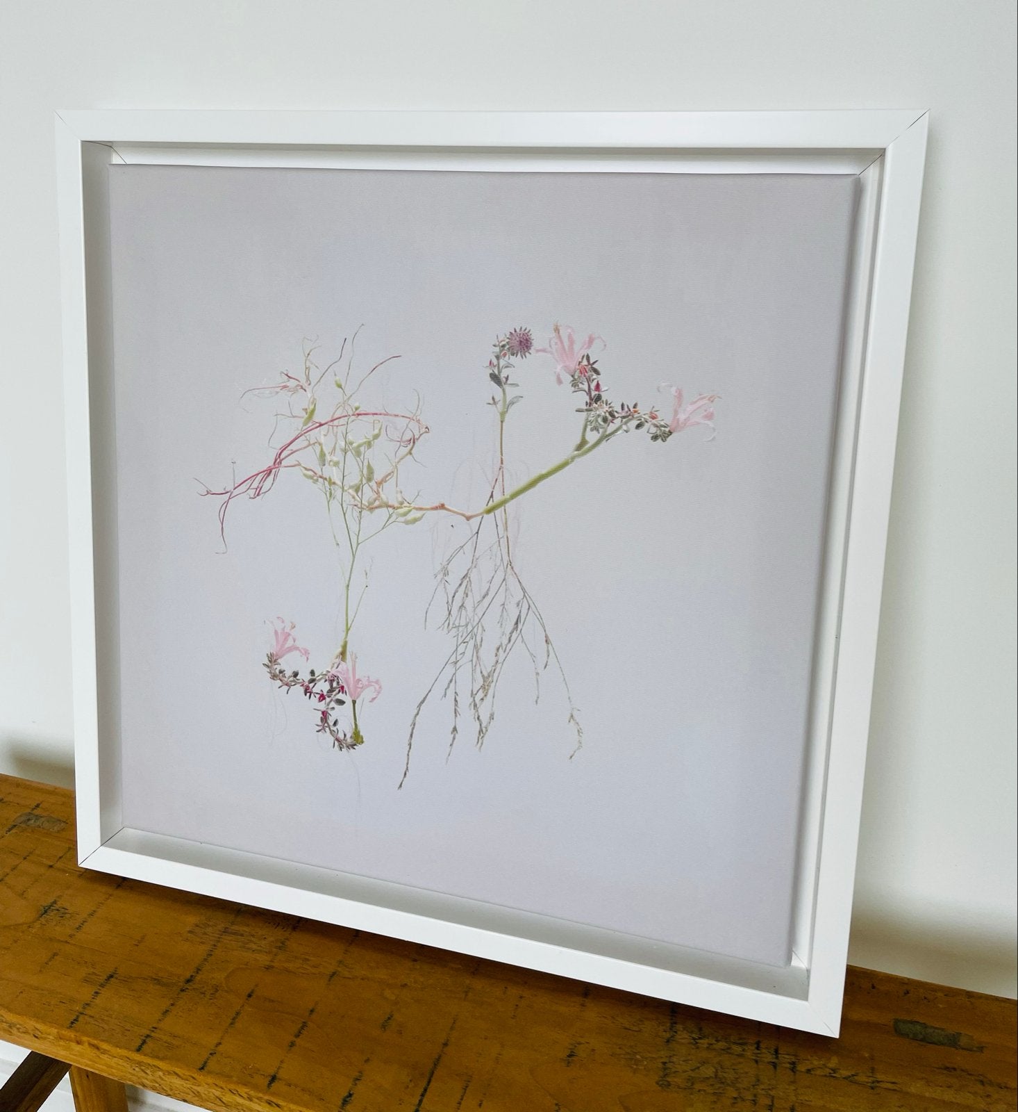 Modern ingelijst kunstwerk met bloemen en wortels, Bloemen, Ophalen of Verzenden, Gesigneerd, Gemengde techniek