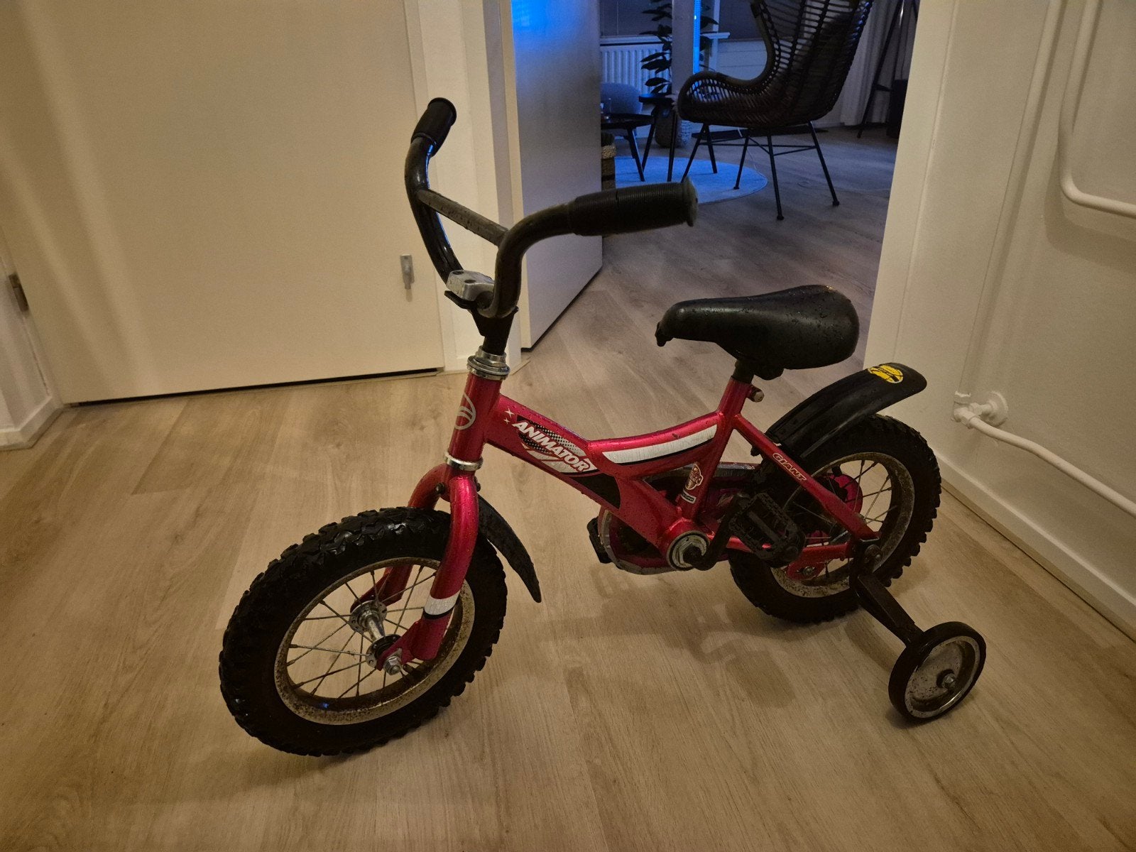 Giant kinderfiets met zijwieltjes, Fietsen en Brommers, Fietsen | Driewielers, Gebruikt, Ophalen