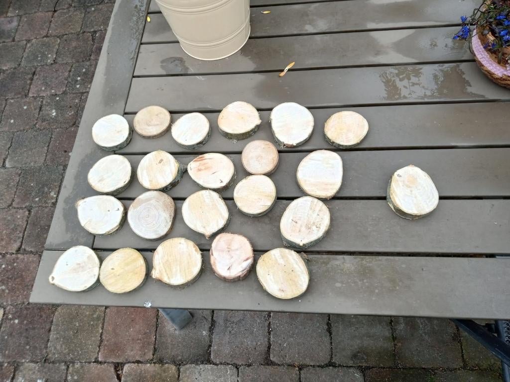 Appelboom schijven, Tuin en Terras, Haardhout, Minder dan 3 m³, Ophalen of Verzenden
