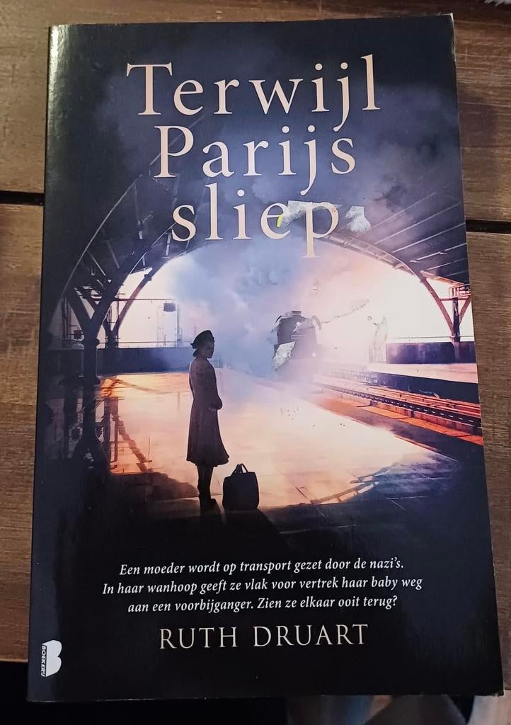 Terwijl Parijs sliep - Ruth Druart (roman), Boeken, Ophalen of Verzenden, Zo goed als nieuw