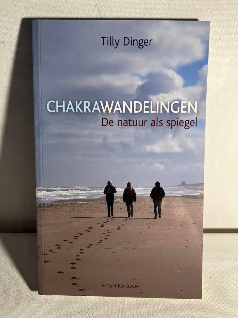 Tilly Dinger - Chakrawandelingen, Achtergrond en Informatie, Ophalen of Verzenden, Zo goed als nieuw, Tilly Dinger
