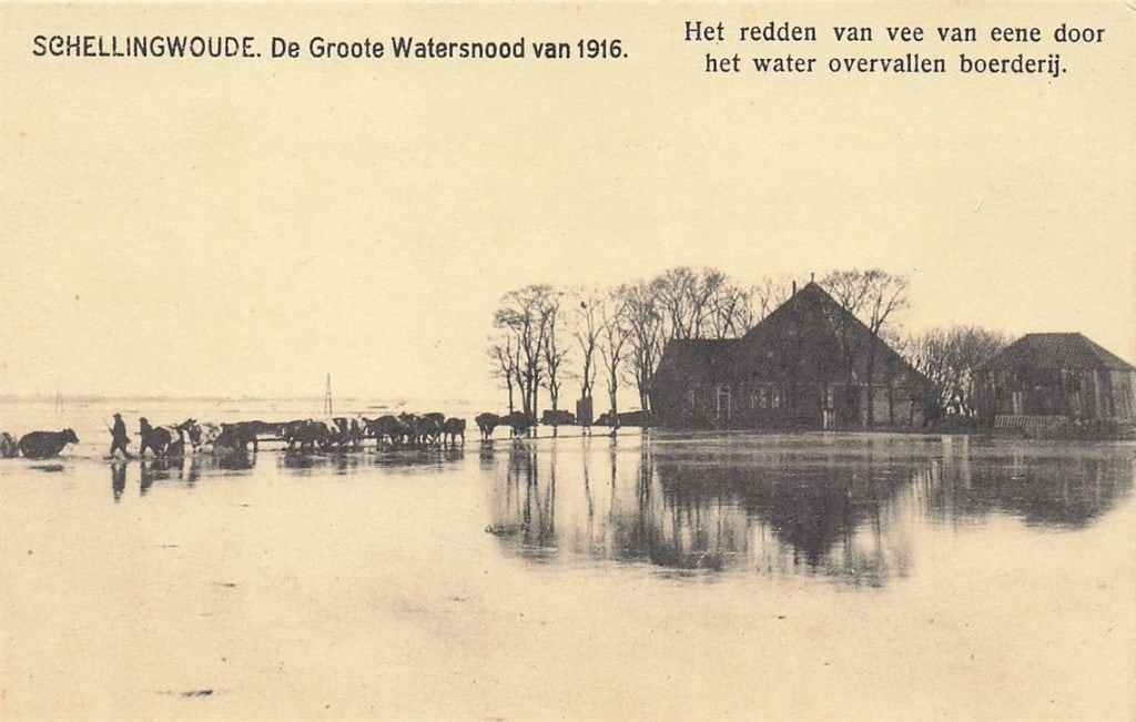 703-408-005 Schellingwoude De Groote Watersnood Van 1916, Verzenden, Voor 1920, Noord-Holland