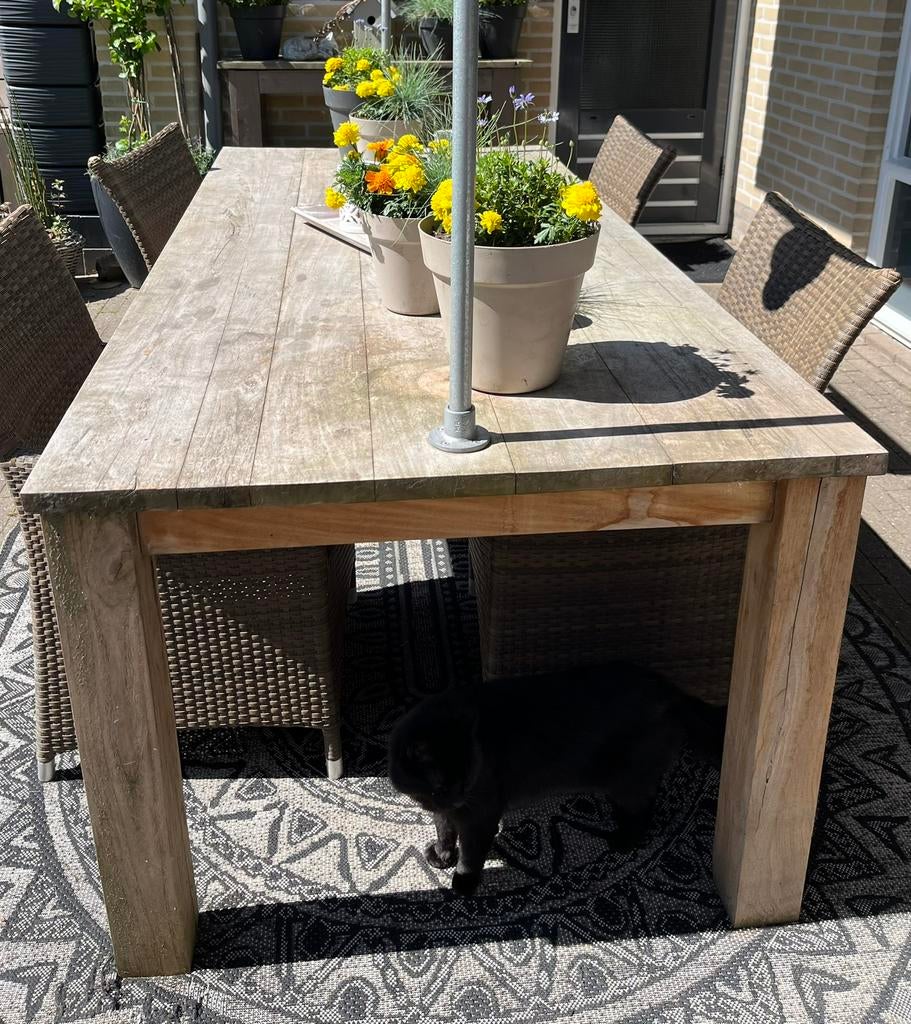 Tuintafel hardhout, Ophalen, Gebruikt, Hout, 6 zitplaatsen