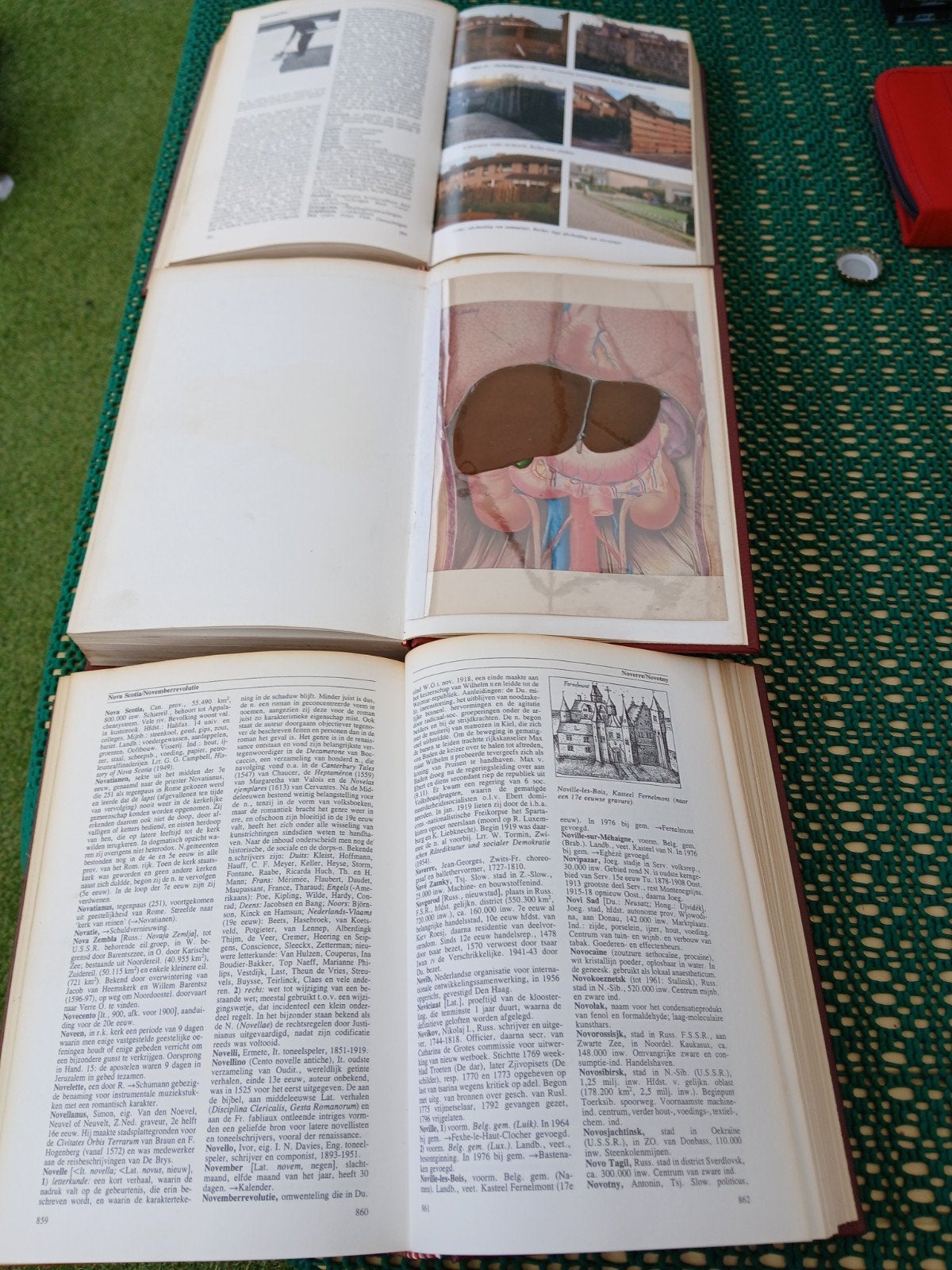 Encyclopedie, Boeken, Encyclopedieën, Zo goed als nieuw, Ophalen of Verzenden