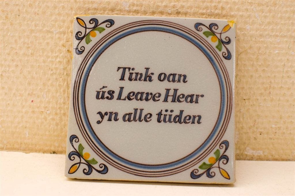 Wandtegel met tekst in het fries 49213, Ophalen of Verzenden, Gebruikt