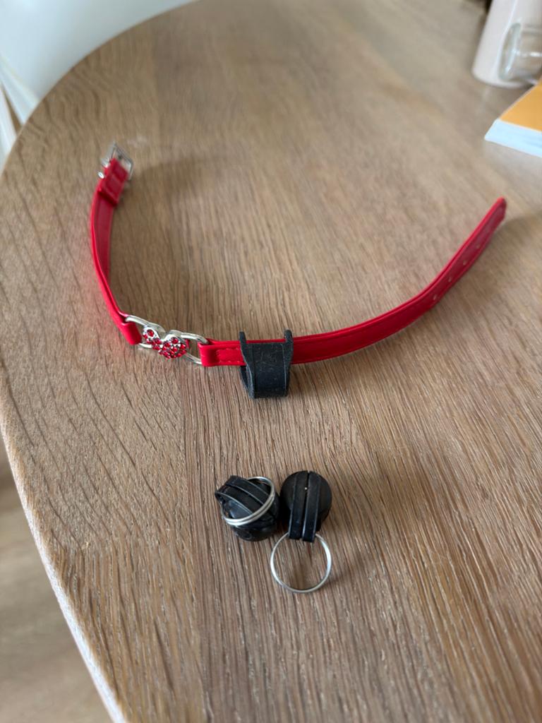 Kattenbanden met magneetjes voor luik en SOS-koker, Ophalen of Verzenden