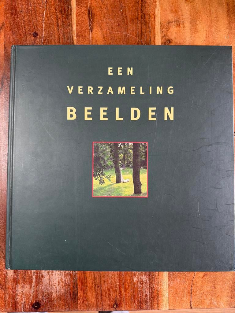 Een Verzameling Beelden - Kunstboek Caldic Collectie, Boeken, Ophalen of Verzenden, Gelezen, Beeldhouwkunst