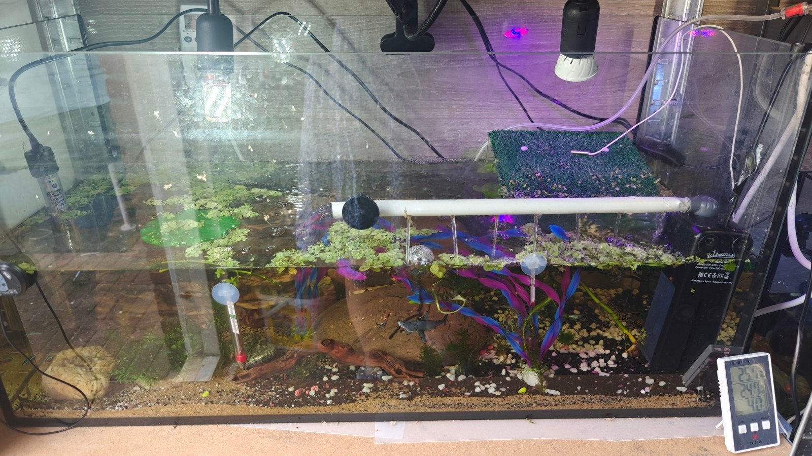 aquarium, Ophalen, Leeg aquarium