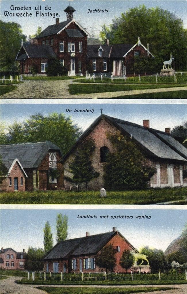 Groeten uit de Wouwsche Plantage. - 3 afb. - 1921 gelopen, Verzenden, 1920 tot 1940, Gelopen, Noord-Brabant