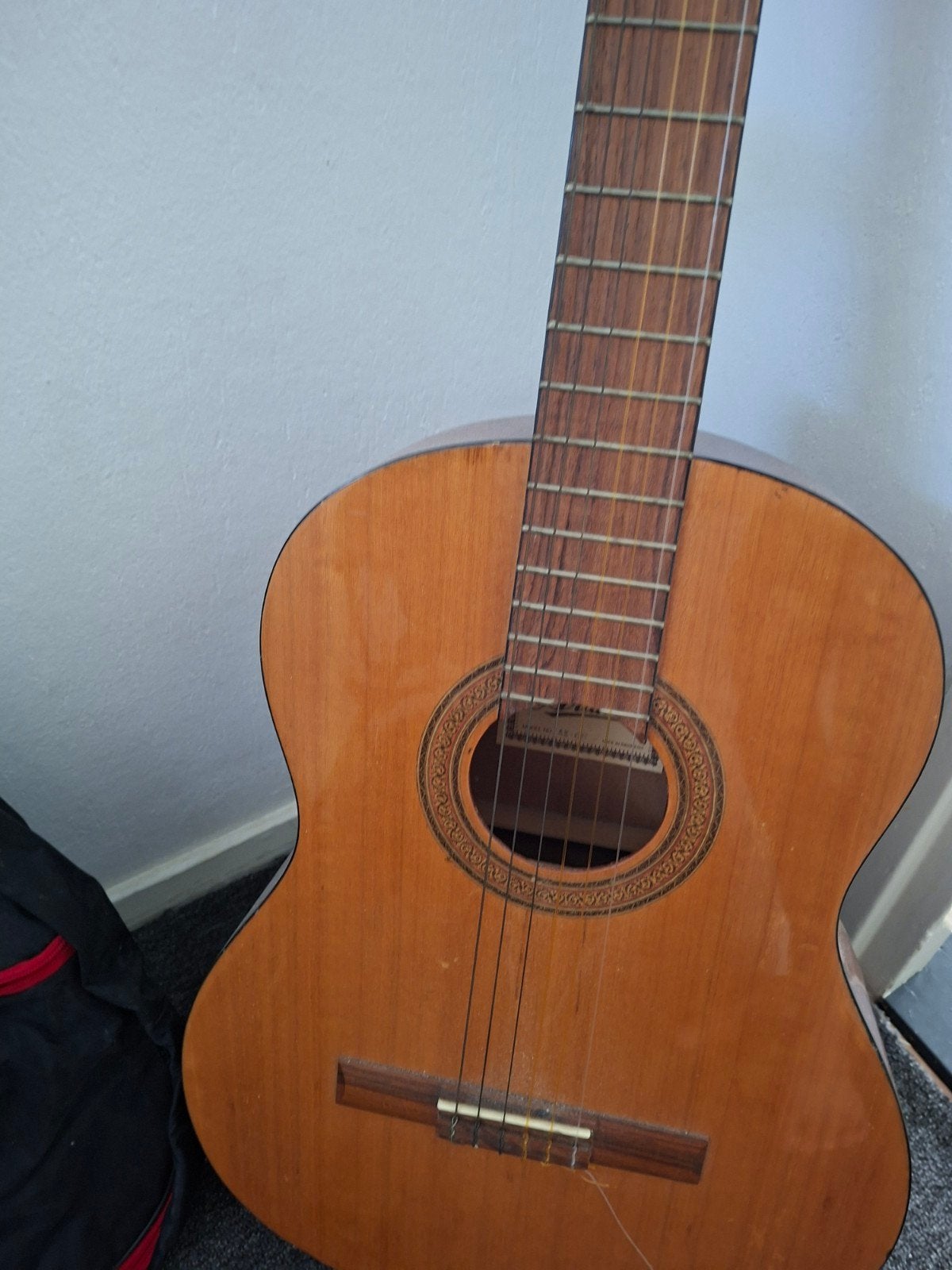 Klassieke gitaar met hoes, Ophalen of Verzenden, Gebruikt, Klassieke of Spaanse gitaar, Met koffer