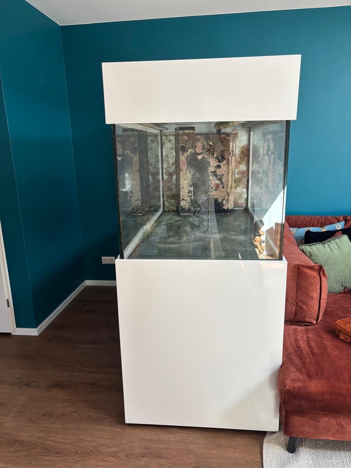 Aqarium 160x80x80, Ophalen, Leeg aquarium