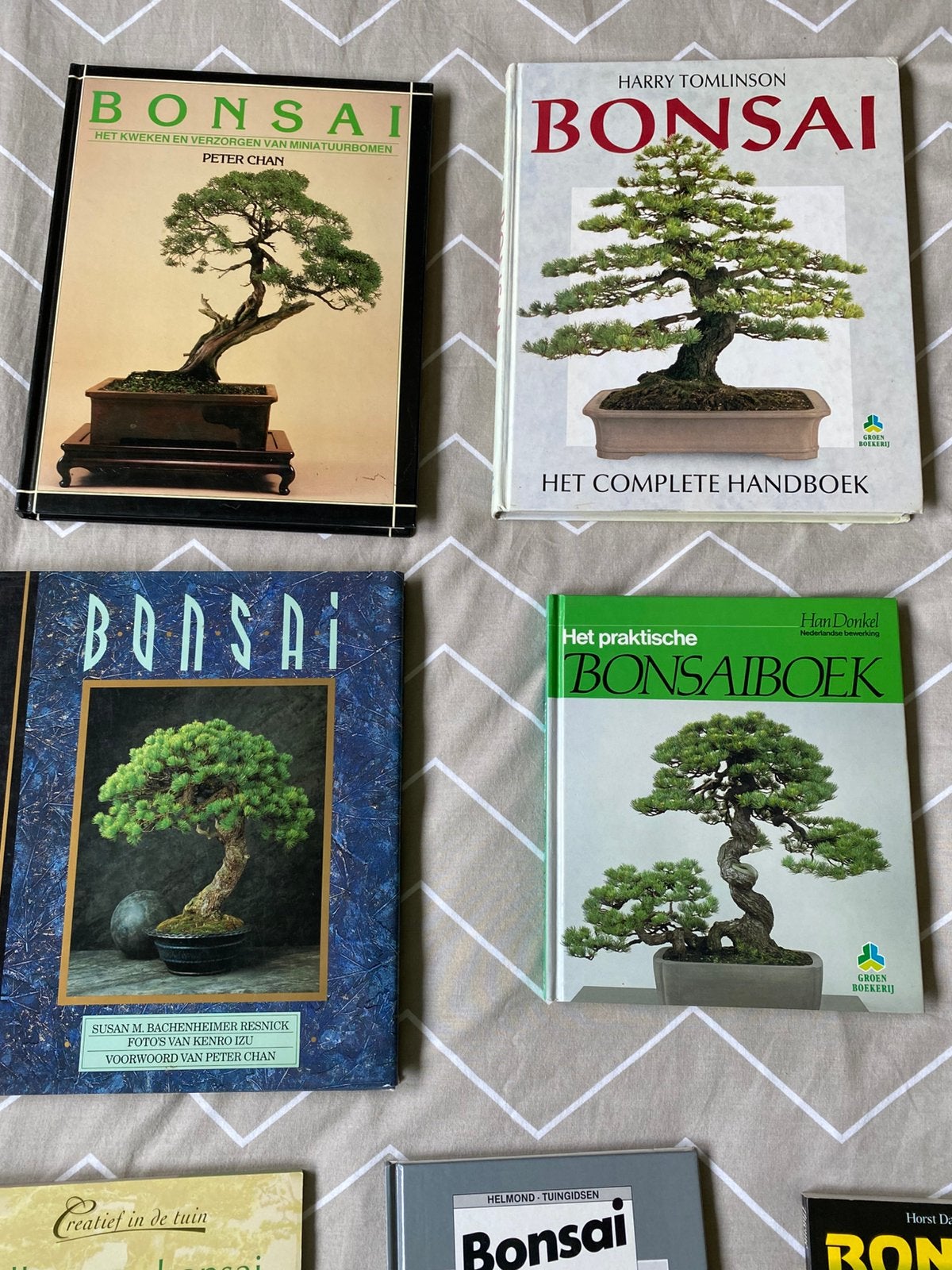 Bonsai boeken Chan tomlinson Busch, Ophalen of Verzenden, Gebruikt
