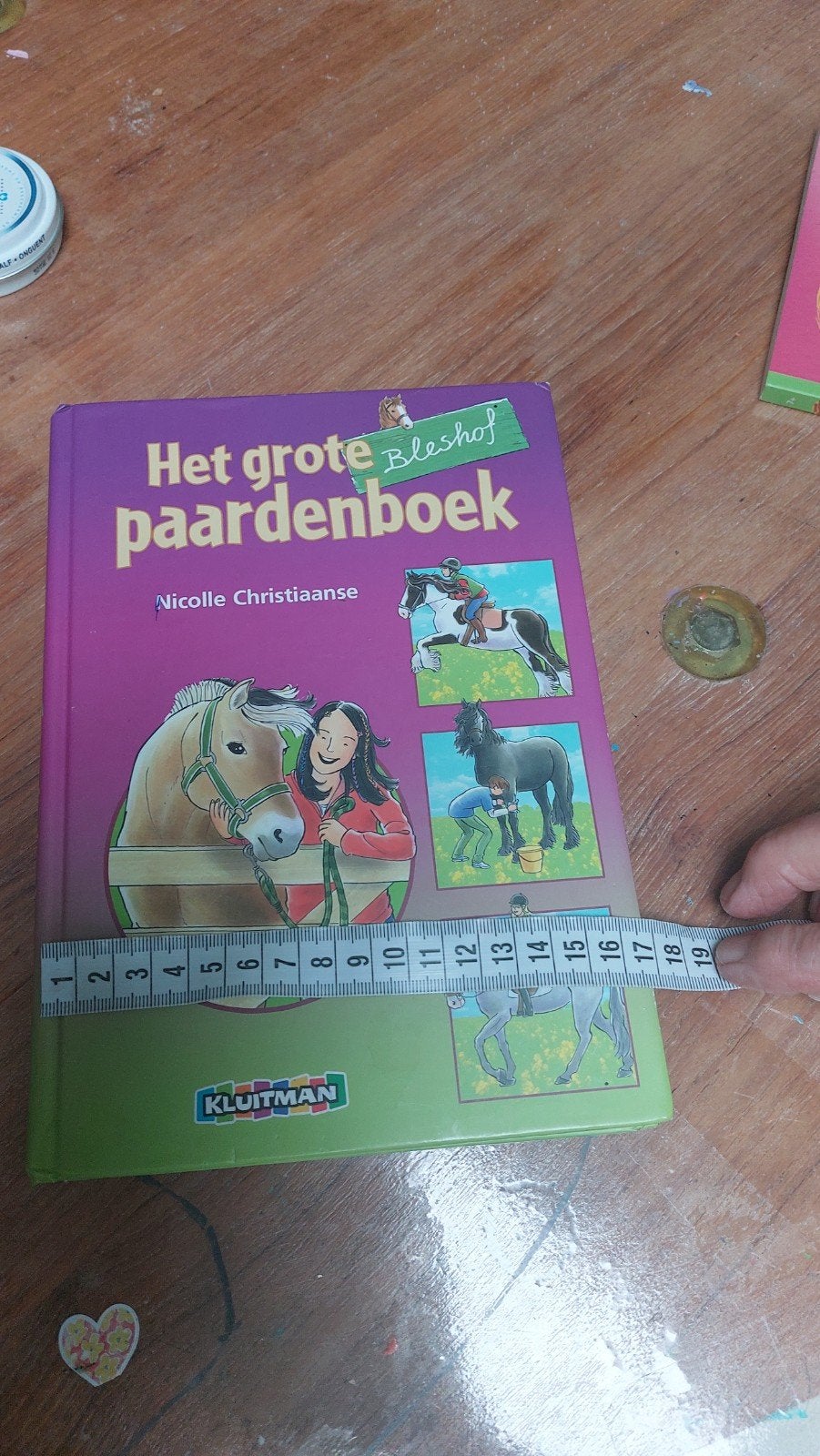 Het grote Paardenboek - Nicolle Christiaanse, Ophalen of Verzenden