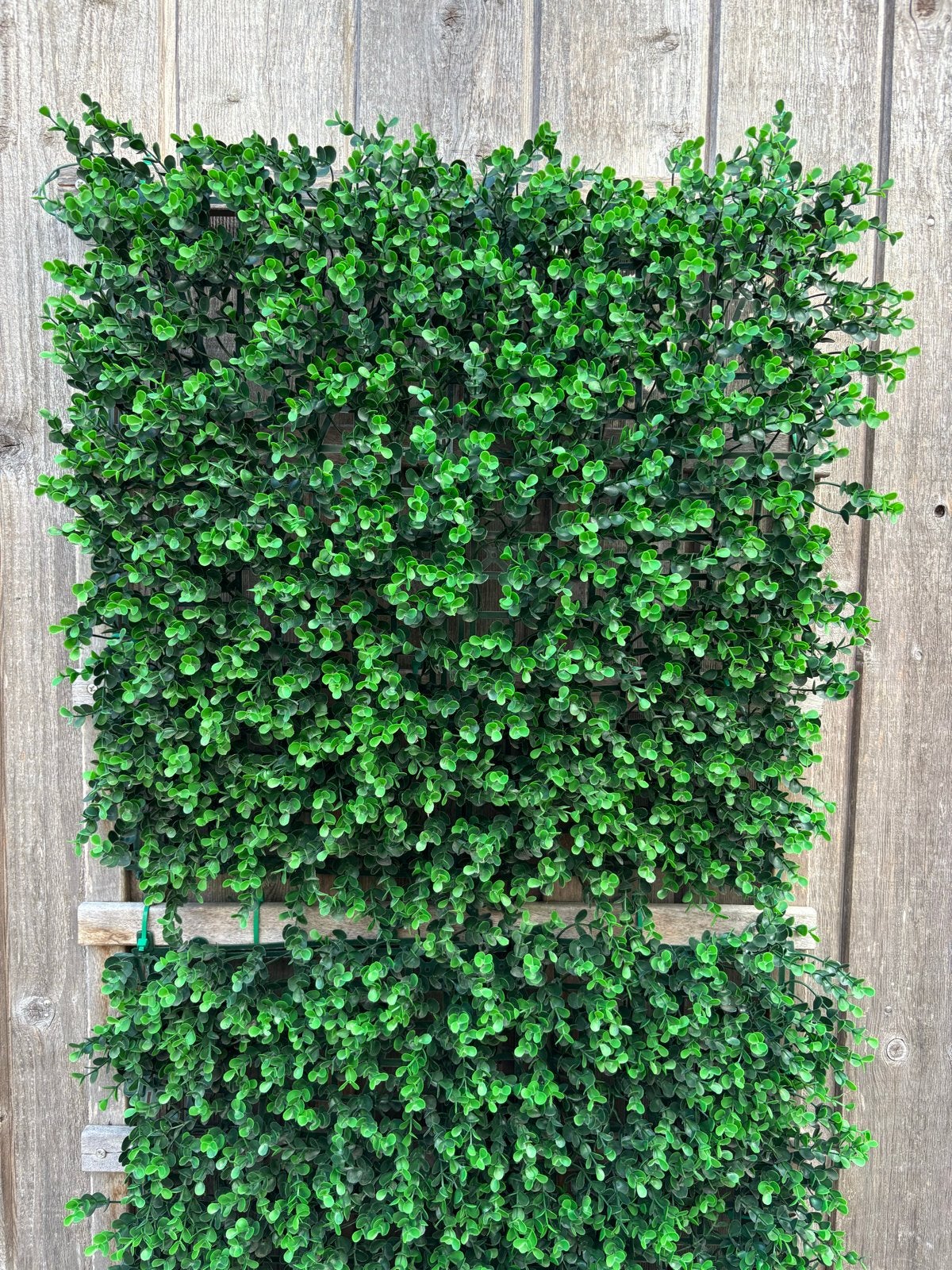 Kunsthaag Groen en Paars - Decoratieve Tuinpanelen, Tuin en Terras, Vaste plant, Bloeit niet, Volledige schaduw, Ophalen