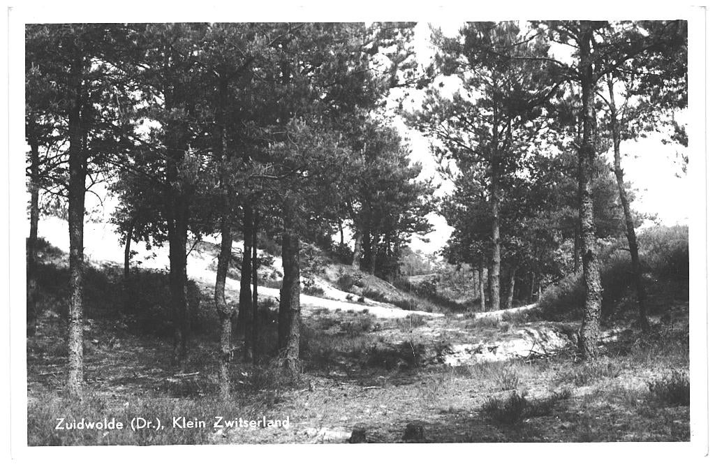967101 Zuidwolde Klein Zwitserland 1951 Drenthe Gelopen, Verzamelen, Ansichtkaarten | Nederland, Ophalen of Verzenden, 1940 tot 1960