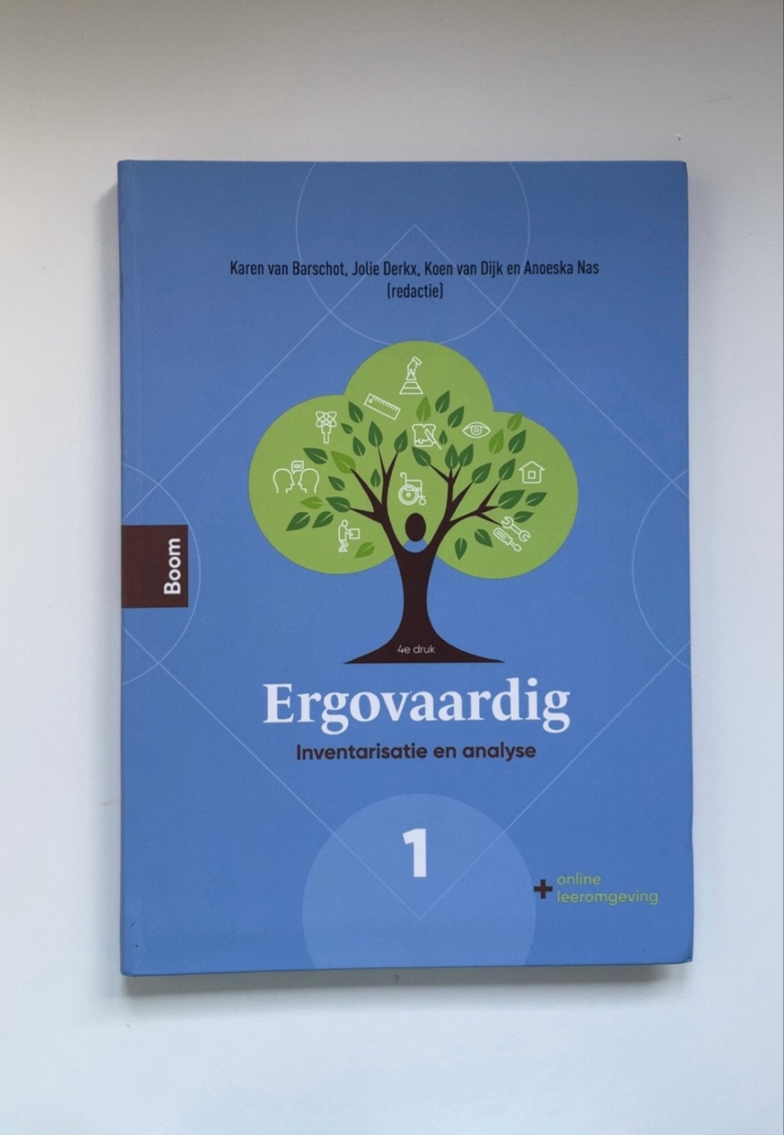 Ergovaardig 1: Inventarisatie en analyse (4e druk), Boeken, Ophalen of Verzenden, Gamma, Zo goed als nieuw, HBO