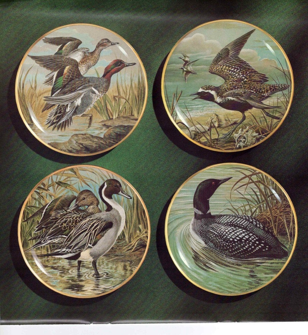 Franklin Mint Porseleinen Borden - De Mooiste Watervogels, Ophalen of Verzenden