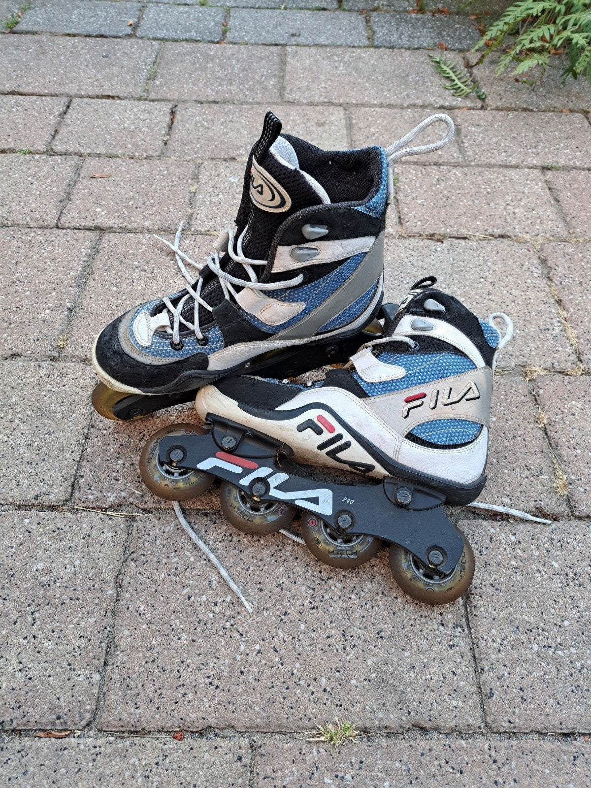 Fila inline skates dames - Maat 39 2/3, Ophalen of Verzenden, Gebruikt, Dames, Inline skates 4 wielen