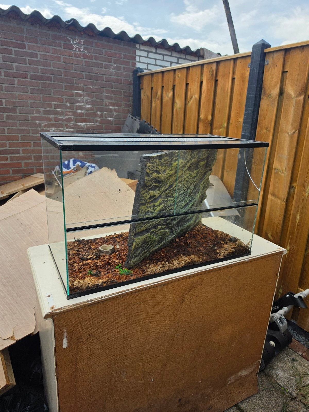terrarium/paludarium, Ophalen, Gebruikt, Terrarium of Paludarium