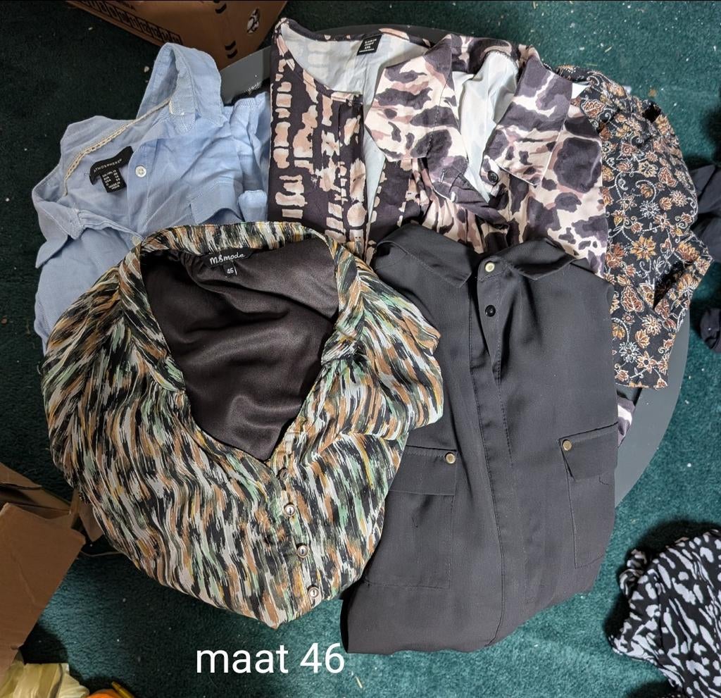 6 Dames Blouses Lange Mouw Maat 46, Kleding | Dames, Blouses en Tunieken, Ophalen of Verzenden, Zo goed als nieuw, Maat 46/48 (XL) of groter