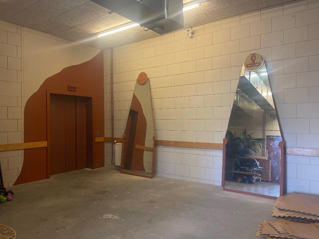 Grote spiegel, Huis en Inrichting, Woonaccessoires | Spiegels, Ophalen, 200 cm of meer, Zo goed als nieuw, 100 tot 125 cm
