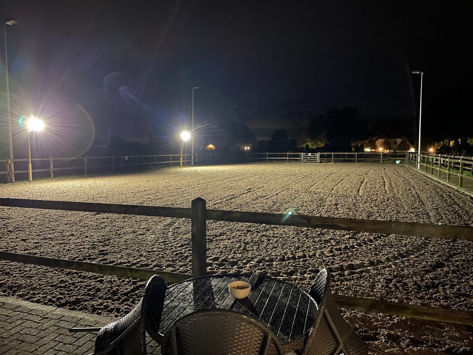4 Lichtmasten/lantaarns voor paardenbak of erf, Ophalen, Gebruikt, Staal, Staande lamp