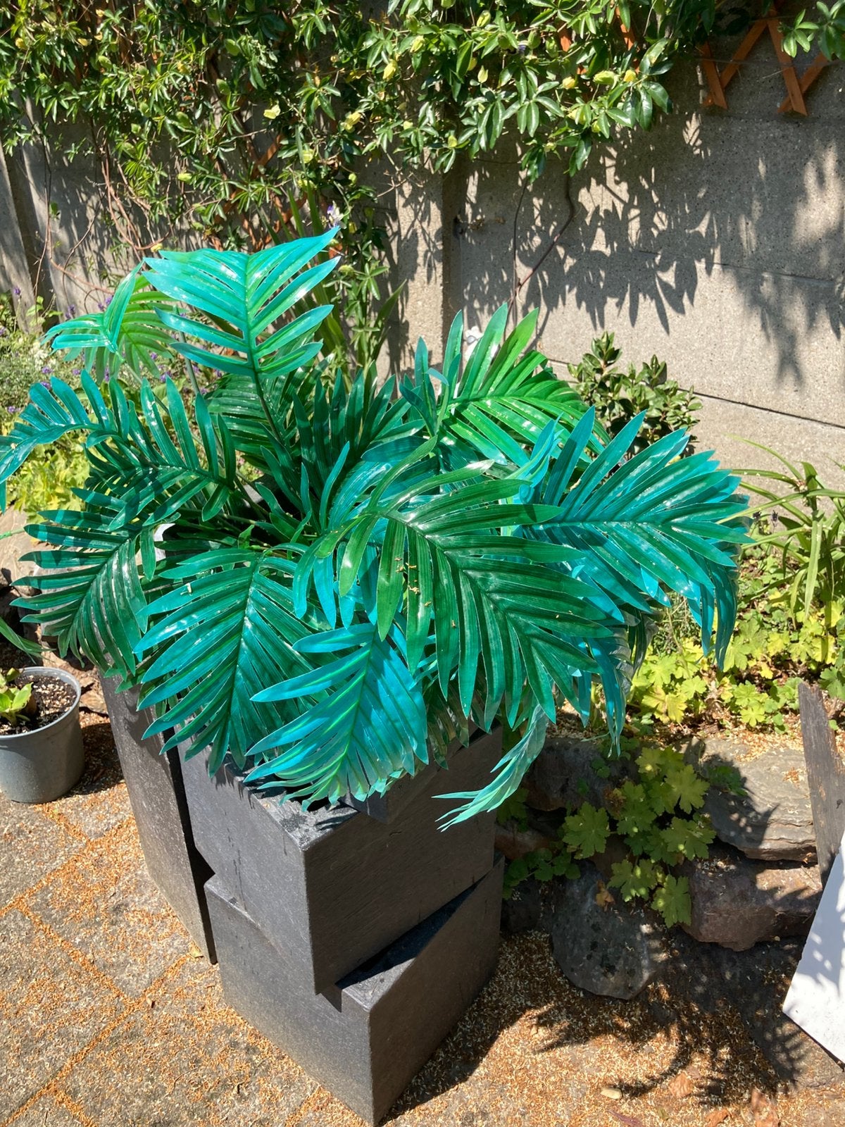 Kunst palm, Bloeit niet, Overige soorten, Minder dan 100 cm, Ophalen