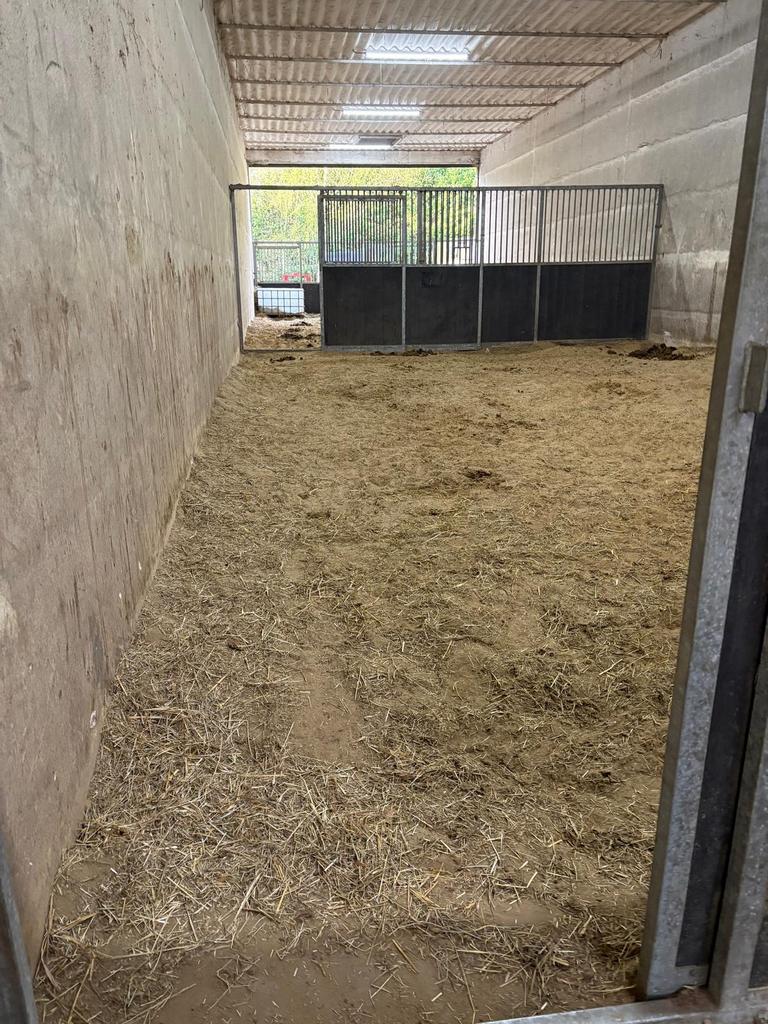 2 grote stallen van 6X10 beschikbaar per 1 juli, Dieren en Toebehoren, Weidegang, 2 of 3 paarden of pony's
