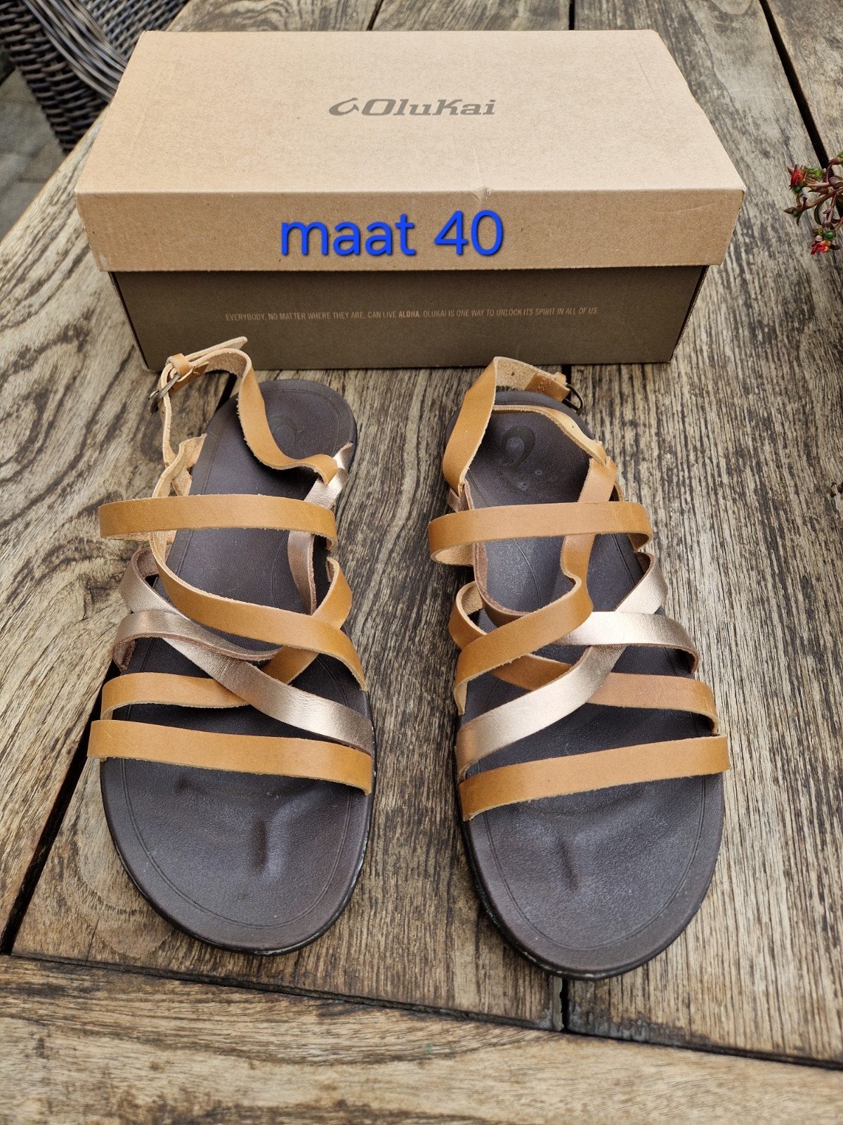 Sandalen Olukai women awe Sahara Bubbly maat 40 bruin, Bruin, Nieuw, Olukai, Sandalen of Muiltjes