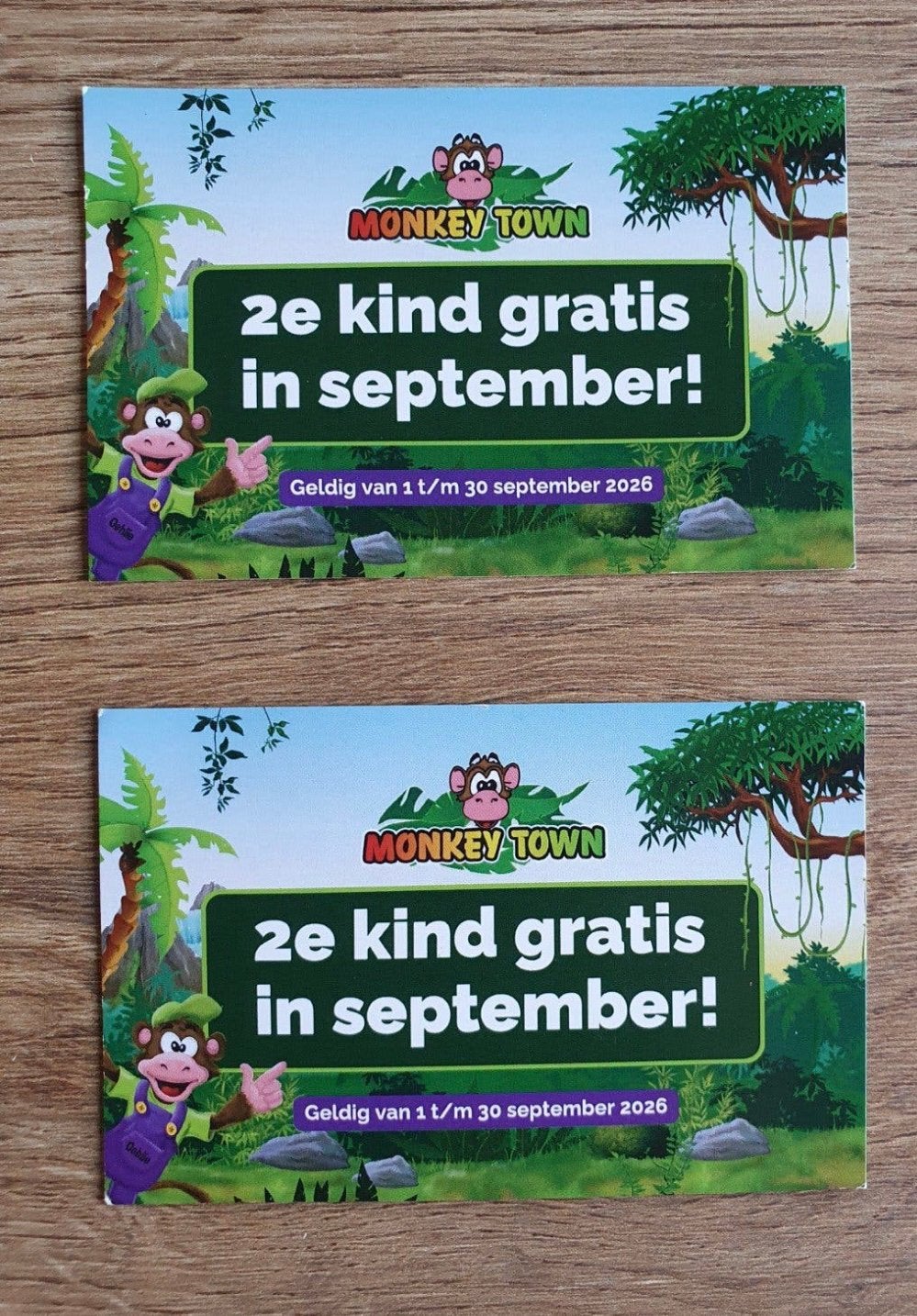 Monkeytown indoor speelpark pretpark speeltuin, Tickets en Kaartjes, Twee personen, Ticket of Toegangskaart
