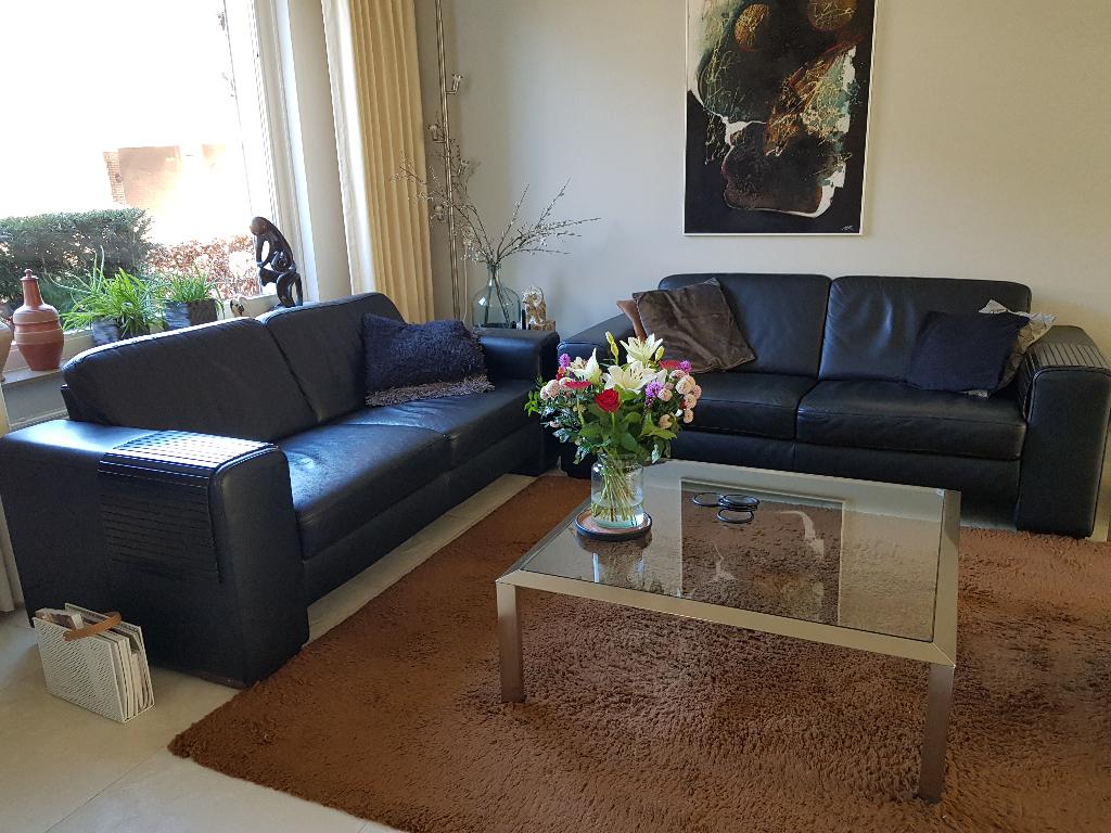 Twee Design tafels RVS, Huis en Inrichting, Ophalen, Gebruikt, 50 tot 100 cm, Design