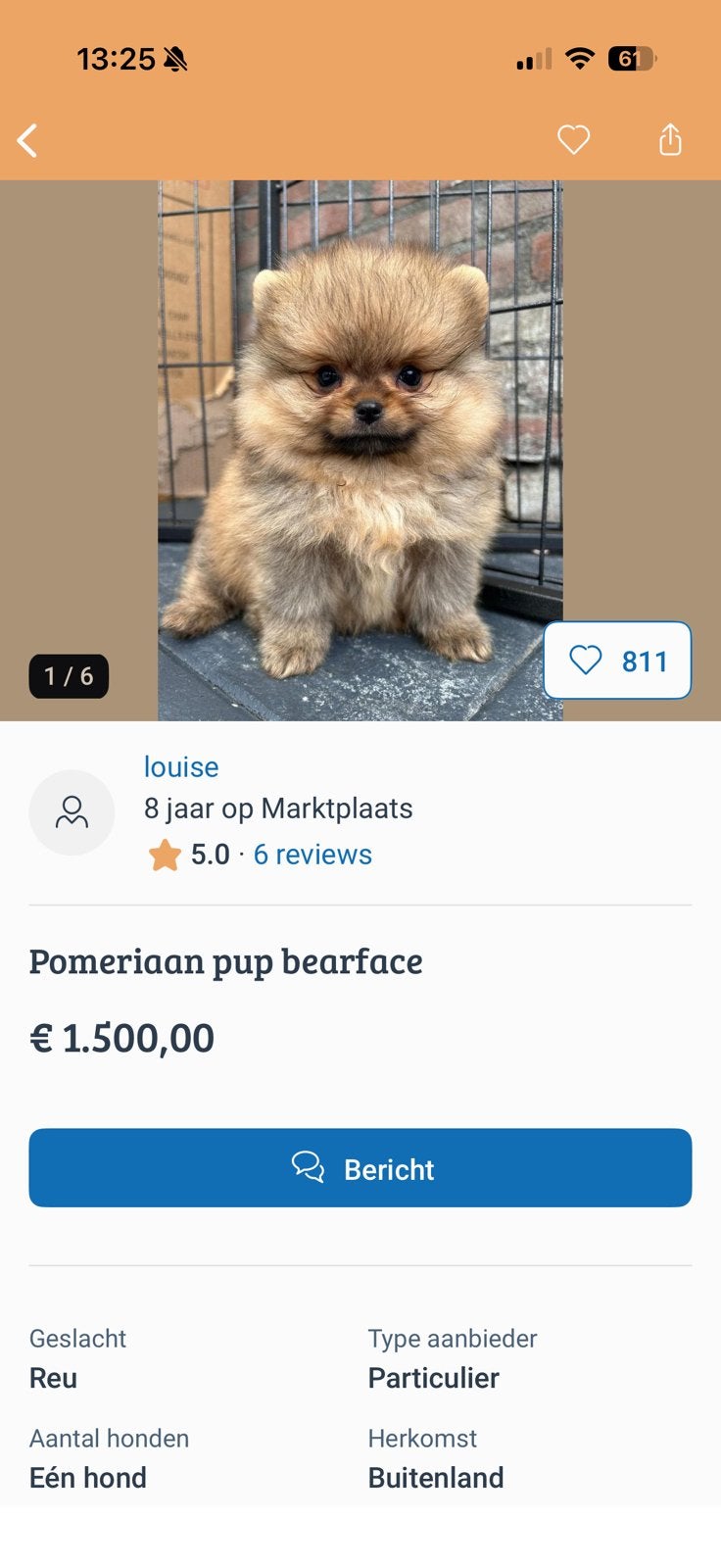 Pomeriaan pup bearface (OPLICHTER), 15 weken tot 1 jaar, CDV (hondenziekte), Buitenland, Eén hond