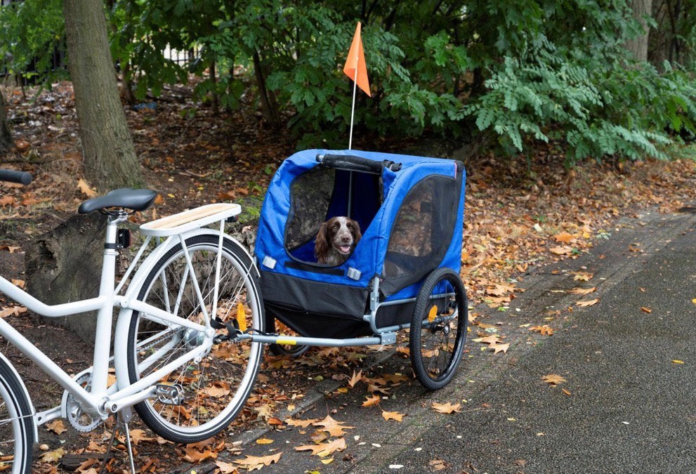 Honden fietskar, Opvouwbaar, Nieuw, Ophalen of Verzenden, Hondenkar