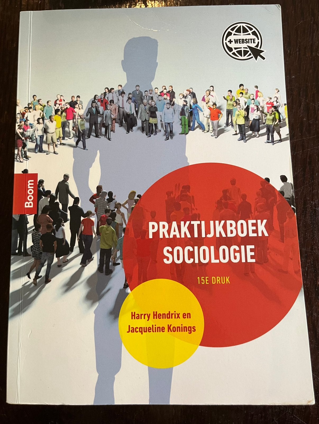 Harry Hendrix - Praktijkboek sociologie / 15e druk, Sociale wetenschap, Ophalen of Verzenden, Zo goed als nieuw, Harry Hendrix; Jacqueline Konings